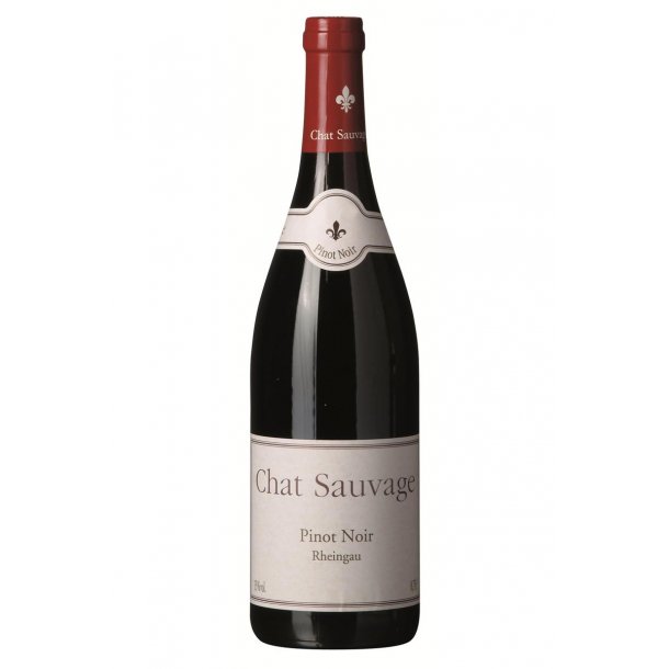 2018 Pinot Noir Rheingau - Chat Sauvage