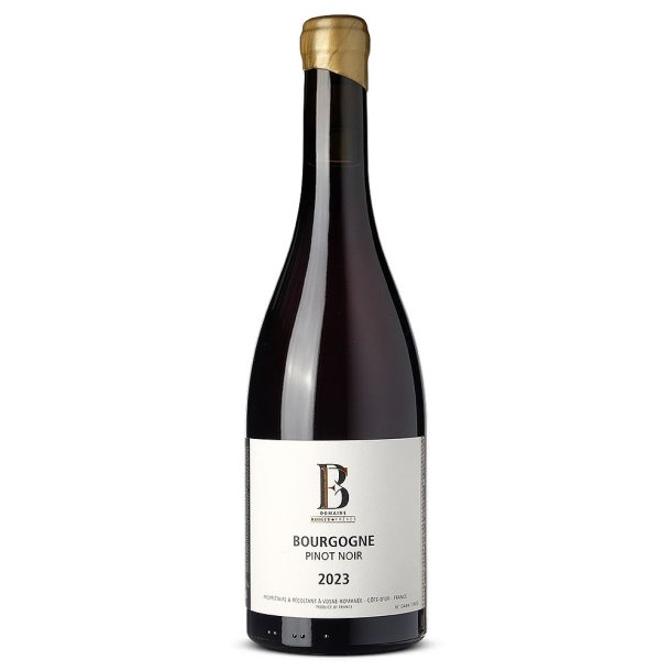 Domaine Boigey Freres Bourgogne Pinot Noir 2023
