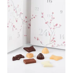 Summerbird dition Nol 