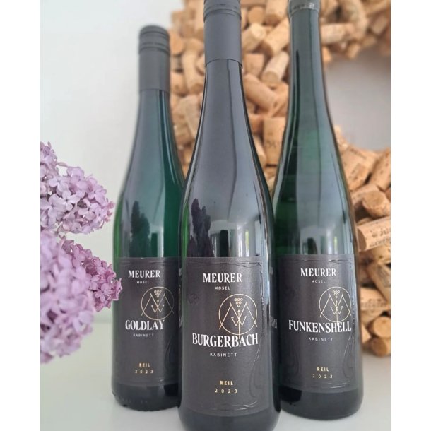 2023 Weingut Meurer Reiler Goldlay Riesling Kabinett