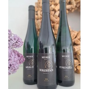 2023 Weingut Meurer Reiler Mullay-Hofberg 
